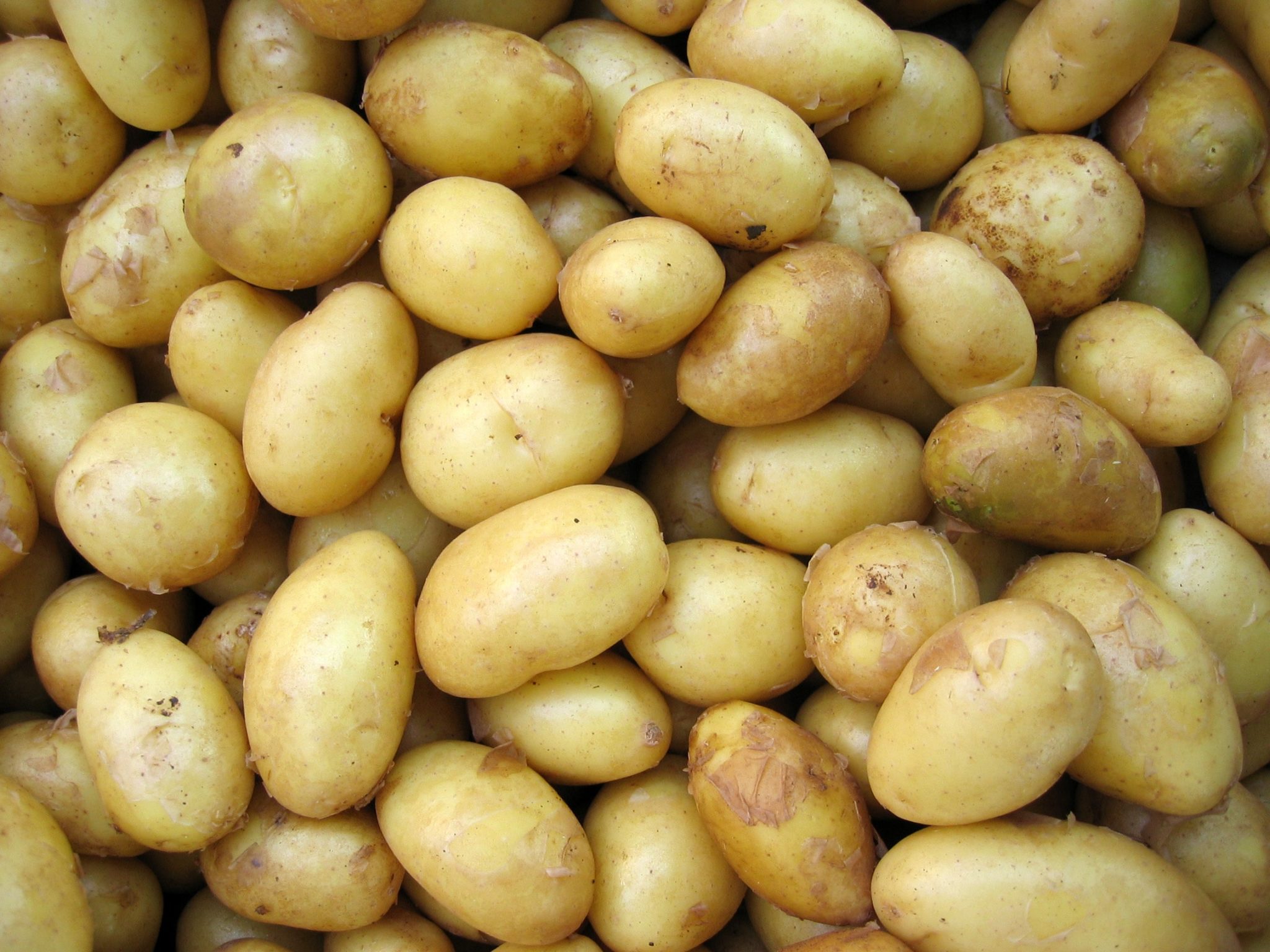 Potato Diet Will It Help You Lose Weight? Miele Guide